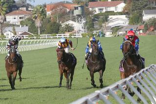 Ichiban (right) gallops to victory at Ellerslie. Photo courtesy of Trish Dunell